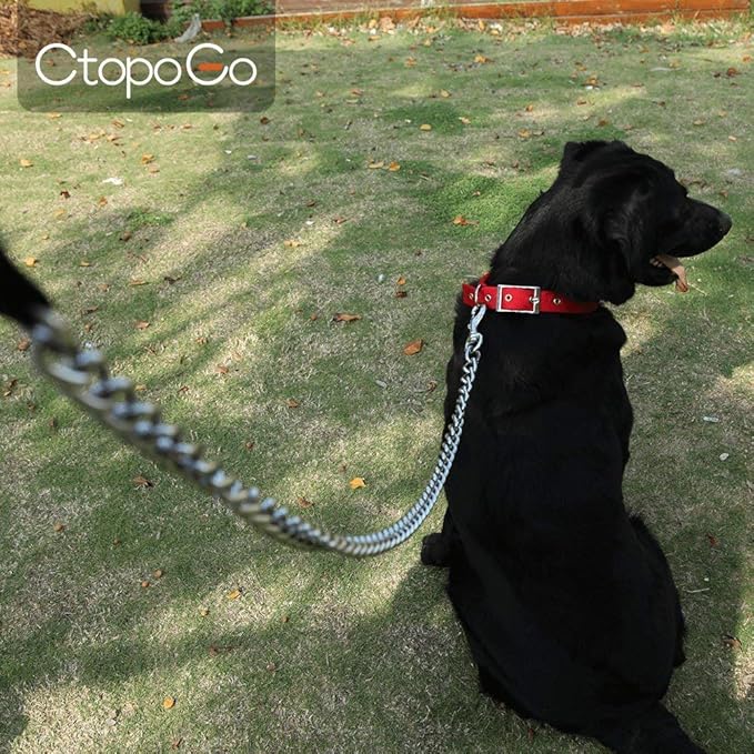 Heavy Duty Dog Leash,Metal Dog Chain Leash with Padded Handle for Large & Medium Size Dogs (4 ft. x 3.0 mm (0-80 lbs.))