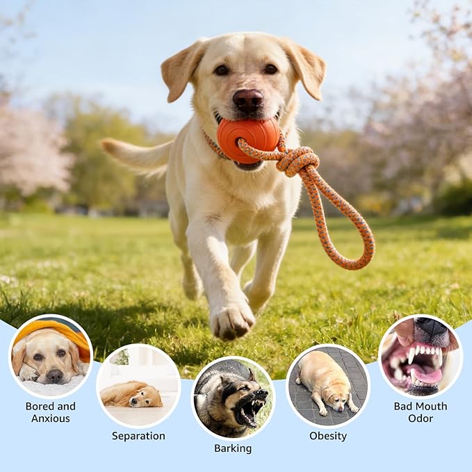 SCENEREAL Floating Dog Pool Toys - Ball on Rope Fetch and Tug-of-War Toy for Medium Large Dogs Outdoor Training, EVA Rubber Water Pet Interactive Toys for Summer Beach, Orange