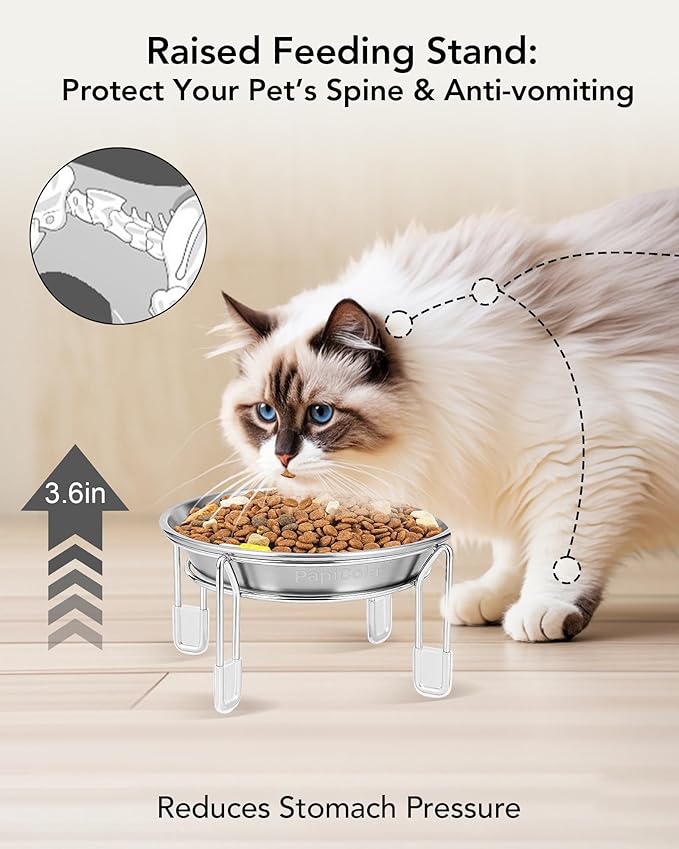 Elevated cat Bowl, 6.3" Wide Raised Stainless Steel Cat Food and Water Dishes, Small Dog Bowl, Whisker Friendly, Anti-Vomiting, Neck Stress-Free, Non-Slip Stainless Steel Stand with 4 Legs- 2Pack