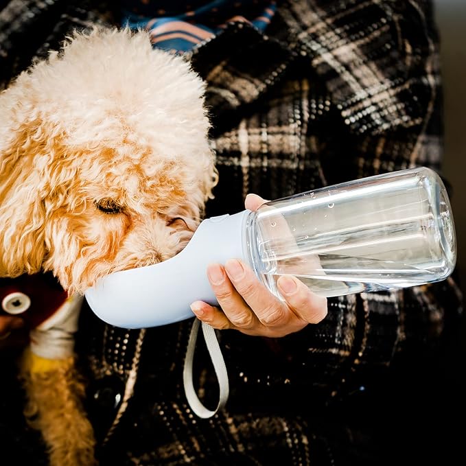 Mr. Pen- Portable Dog Water Bottle, 19 oz, Large, Leak Proof Puppy Water Dispenser with Drinking Feeder for Pets, Outdoor Walking, Hiking, Travel, Not Dishwasher Safe