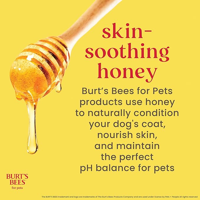Burt's Bees for Pets Natural Ear Cleaner for Dogs with Peppermint and Witch Hazel, 99.7% Natural Origin Formula, Dog Ear Cleaning Solution for Dogs and Puppies, 4 Fl Oz - 24 Pack