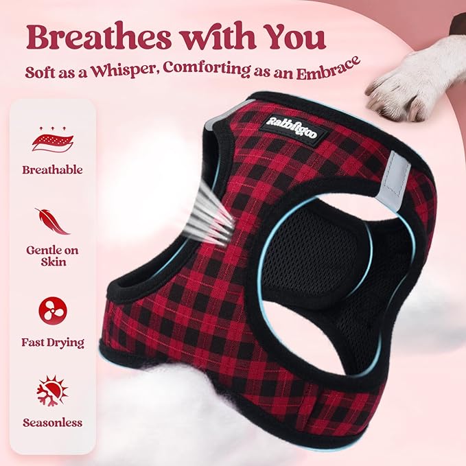 rabbitgoo Dog Harness Small Sized and Leash Set, Step in Soft Light Puppy Vest, Breathable Mesh Pet Harness, Reflective for Safe Easy Walking, Red Plaid S