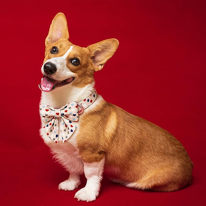 DOGWONG Dog Bow Collar Valentine's Day Dog Collar -Hearts Print Dog Collar with Bowtie Spring Dog Collars Pet Collar Bows Cute Collars,XS