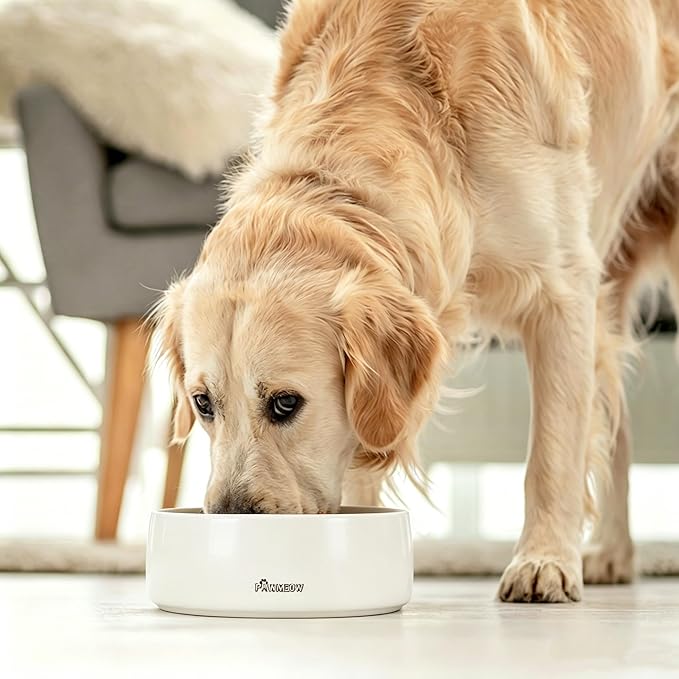 Ceramic Dog Bowl | 5.5inch Dog Bowl, Spill Proof, Non-Slip Pet Feeding Bowl for Small & Medium Breed(16 oz) (White, 5.5inch)