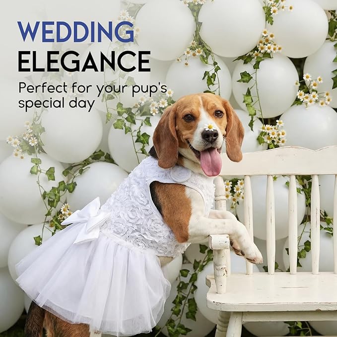 ASENKU Dog Dress Pet Wedding Dress Princess Lace Puppy Birthday Party Outfit Formal Apparel Girl for Small Medium Dogs Cats (X-Small, White)