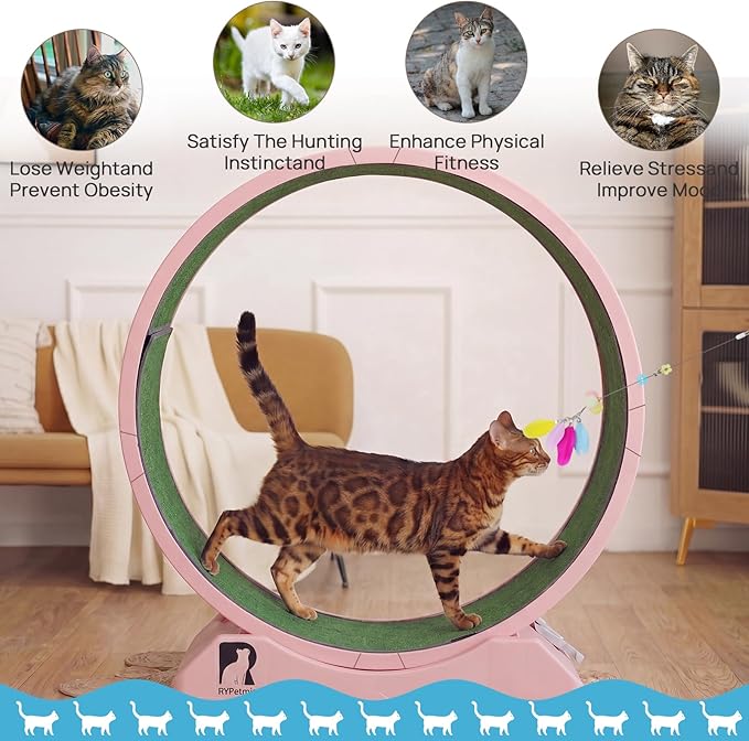 Cat Exercise Wheel, 31.5 Inch Indoor Treadmill for Cats with Carpeted Runway, Screw-Fixed Assembly for Easy Setup, Silent & Safe Fitness Equipment for Most Cats