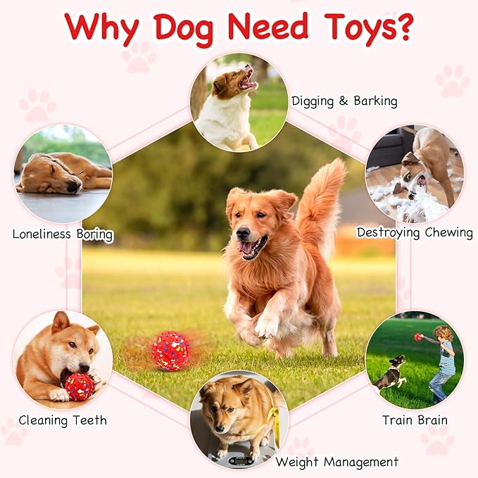 Lollyx Interactive Dog Toys, Rechargeable Moving Dog Toys to Keep Them Busy, Dog Toy Ball for Small/Medium/Large Dogs