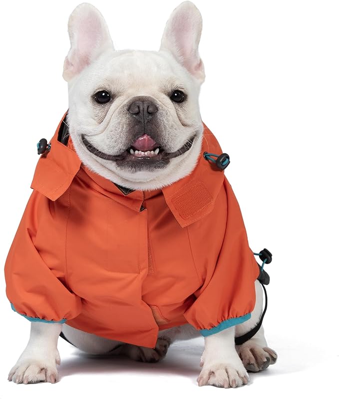 Orvis Dog All Season Trekker 3-in-1 Coat for Dogs, Size Medium; Orange High Visibility All Weather Dog Coat with Raincoat & Fleece Vest that Can Be Worn Separately or Together; Removable Hood