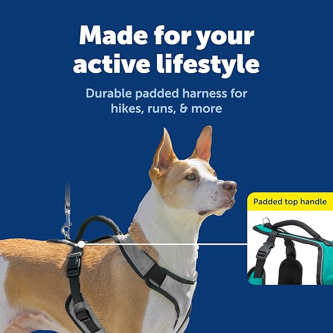 PetSafe EasySport Dog Harness - Padded, Adjustable Dog Harness with Control Handle and Reflective Piping - Great for Active Dogs - from the Makers of the Easy Walk Harness - Medium, Charcoal
