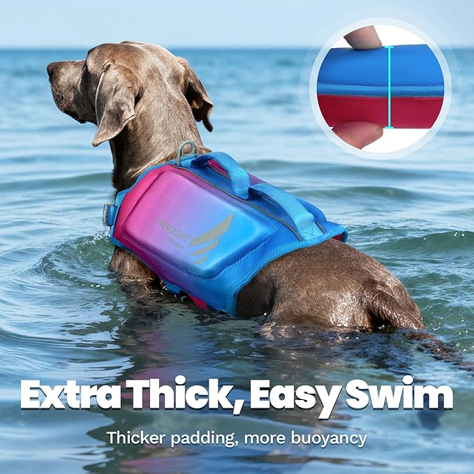 VIVAGLORY High Buoyancy Dog Life Vest, Swimming Vest with Handle, Dog Life Jacket for Swimming & Boating, Buoyancy for Puppy Doggy, L, Pink Blue