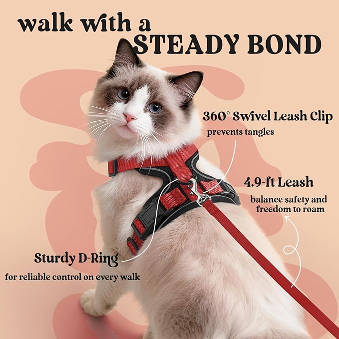 rabbitgoo Cat Harness and Leash Set, Escape Proof Kitten Harness for Safe Outdoor Walks, Soft Breathable Adjustable Vest with Reflective Strips for Kittens and Small Cats, Black & Red, XS