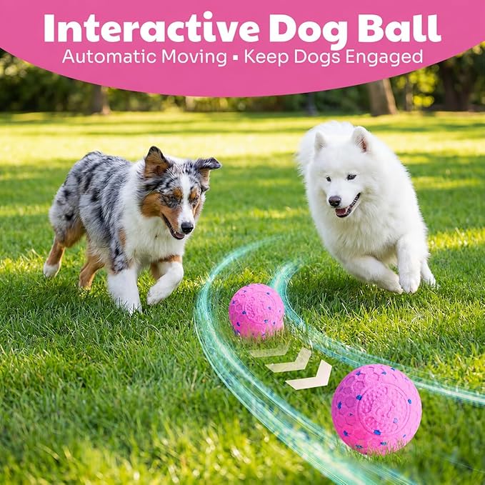 Interactive Dog Ball for Medium & Large Dogs, Automatic Moving Dog Toy with Motion Activation, USB Rechargeable Self Rolling Ball for Boredom Relief, Indoor Exercise & Independent Play