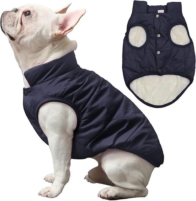JoyDaog 2 Layers Fleece Lined Warm Dog Jacket for Winter Cold Weather,Soft Windproof Medium Dog Coat,Blue L