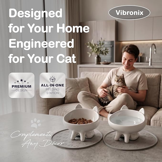 2 Pack Anti-Vomit Elevated Ceramic Cat Bowls with 2 Non-Slip Mats – Ceramic Whisker-Friendly Tilted Orthopedic Feeding Set, Ideal for Senior Cats & Small Dogs
