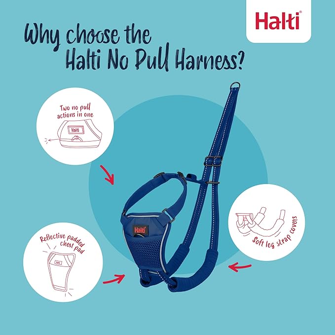 Halti No Pull Harness - Stop Your Dog Pulling on the Leash. Adjustable, Lightweight and Easy to Use. Reflective Dog Training Harness for Large Dogs (Size L, Cobalt Blue)