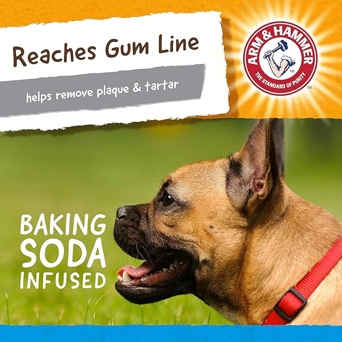 Arm & Hammer Nubbies Gator Dental Chew Toy for Dogs, Mint Flavor, Baking Soda Infused, Scrubbing Grooves to Reduce Plaque and Tartar, No Stuffing, for Moderate Chewers - 2 Pack
