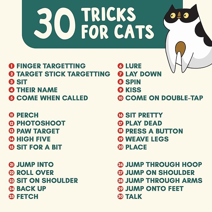 OutdoorBengal The Click Crusade Cat Clicker Training Card Game for Pet Training with Clicker - Train Cats to do Tricks, Improve Communication and Bond with Your Cat (Clicker Trainer not Included)