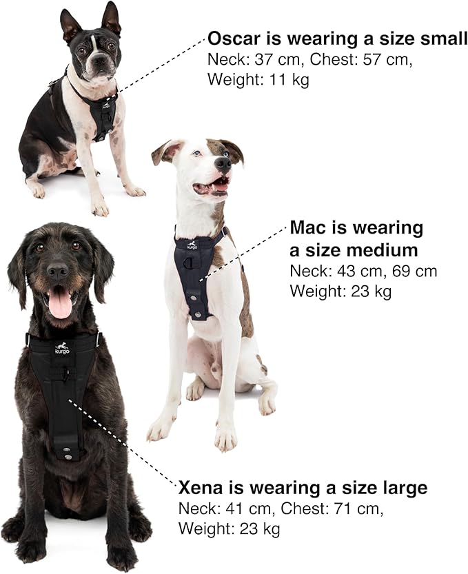 Kurgo Enhanced Strength Tru-Fit Dog Car Harness - Pet Travel Safety Harness - Crash Test Certified Fit - Five Point Adjustment - Secure Buckle - Padded Chest - Black - Small
