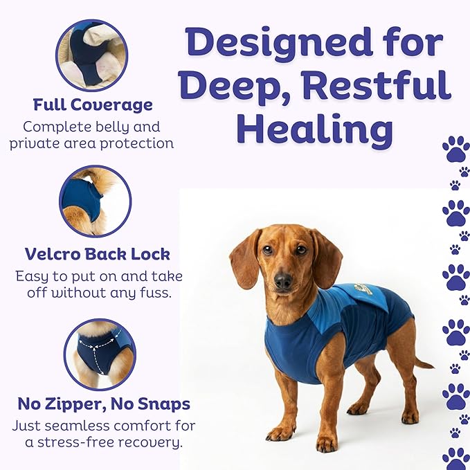 Surgi Snuggly Dog Surgery Recovery Suit - Dog Onesie for Post Surgery Recovery, Female Spay & Male Neuter - Surgical Suit for Dogs, E-Collar Cone Alternative, Double Blue - Small Long - 12" - 15" (EC)