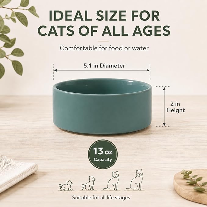 Havniva Cat Bowls Water Bowl Set of Two, 5.1” Ceramic Cat Food and Water Bowl Whisker Friendly Pet Food Bowls for Indoor Cats, Wide Cat Water Dish Prevent Whisker Fatigue Non Slip Cat Feeder