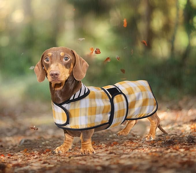 Dachshund Raincoat Corgi Raincoat Dogs Waterproof fit for Dachshunds Weiner Long Back Breeds with Reflective Stripe Great Coverage in Autumn Winter - Yellow Plaid - M