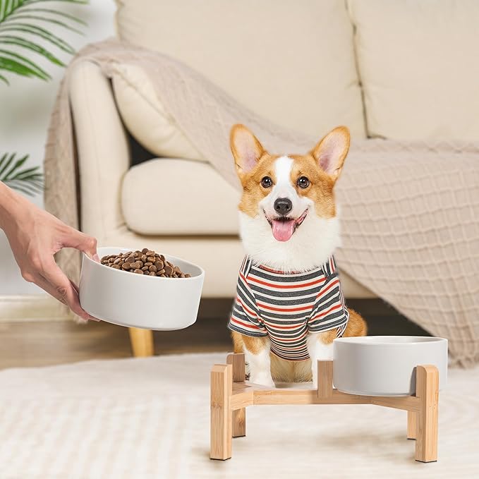 PTOBER Elevated Ceramic Dog Bowl Set - Double Feeding Bowls with Non-Slip Bamboo Stand - Raised Dog Dishes for Food and Water - Ideal for Small to Medium Breeds - 3.6 Cups