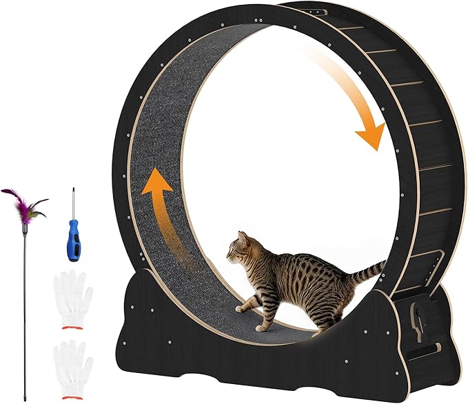 Cat Wheel for Indoor Cats, Quiet Large Cat Treadmill with Detachable Carpeted Runway, 46” Exercise Running Wheel for Pet’s Health and Entertainment, (XL, Black)