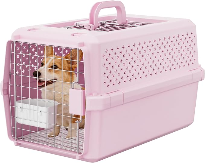 RIZZARI Pets Spree Hard-Sided Pink Pet Carrier, Portable Crate for Medium Dogs & Cats, Durable Plastic with Metal Door & Ventilation, Ideal for Weekend Outings & Air Travel