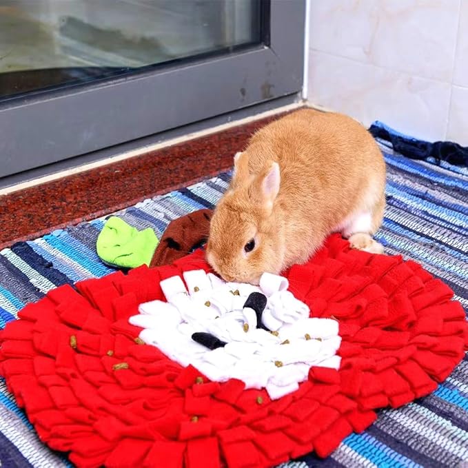 Dog Snuffle Mat Fleece Foraging Fruit Design Mats Small Animals Interactive Feeding Toy Anti Slip Slow Feeder Pet Treat Dispenser for Dogs Rabbits Guinea Pigs (Apple)