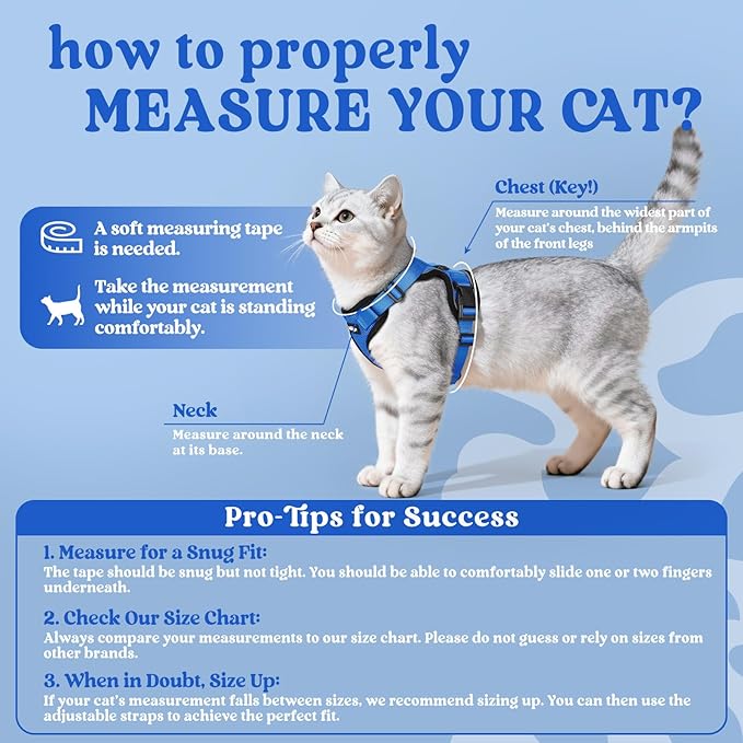 rabbitgoo Cat Harness and Leash Set, Escape Proof Kitten Harness for Safe Outdoor Walks, Soft Breathable Adjustable Vest with Reflective Strips for Kittens and Small Cats, Navy Blue, XS