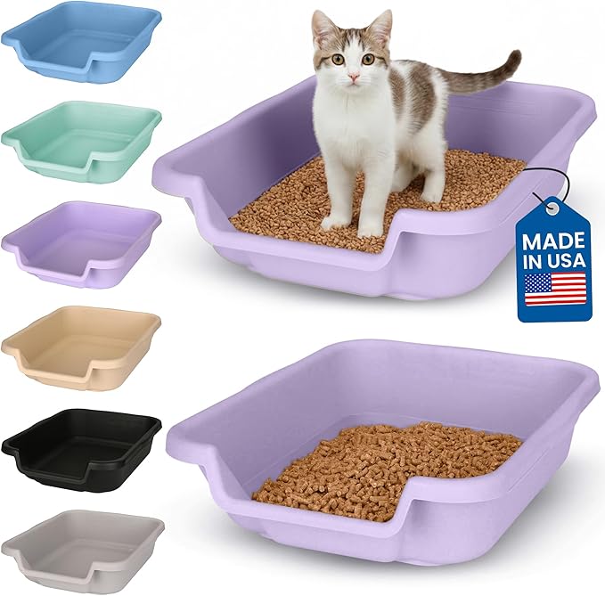 KittyGoHere Senior Cat Litter Box, Small Litter pan, Open Top Low Entrance Kitty Litter Box, Lightweight Low Entry Litters Box, Durable, Made in USA (2 Pack - Storybook Lavendar)