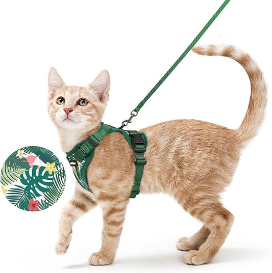 rabbitgoo Cat Harness and Leash Set, Escape Proof Kitten Harness for Safe Outdoor Walks, Soft Breathable Adjustable Vest with Reflective Strips for Kittens and Small Cats, Rainforest Green, XS