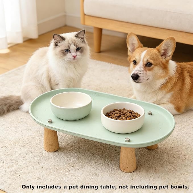 Generic Cat Bowl Raised Stand Rack to Protect Cat Neck Sturdy Non Slip Stable for Feeder Stand Elevated Holder, Green 38cmx21cm