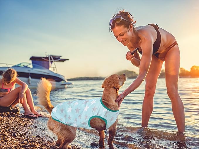 Lightweight Breathable Dog Cooling Shirts, Quick Dry Dog Sunscreen T-Shirt, Professional Pet Summer Vest for Small Medium Large Dogs
