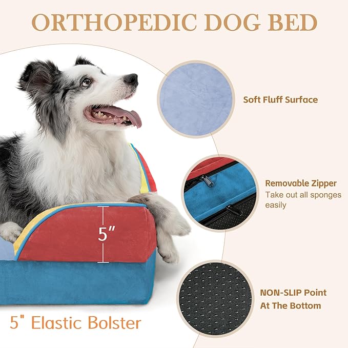 Comfort Expression Orthopedic Dog Bed for Extra Large Dogs 42x30 Inch, Waterproof Egg Crate Foam XL Pet Bed with Bolsters, Dog Couch with Washable Cover & Non-Slip Bottom, Funfetti Fiesta