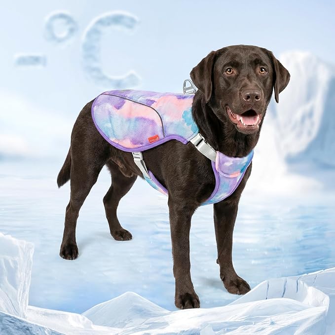 KYEESE Dog Cooling Vest, Breathable Mesh Dog Cooling Shirt for Large Dogs with D-Ring, Sun Protection Reflective Dogs Cooler Jacket with Adjustable Buckle for Summer Hiking Walking, Purple, 2XL