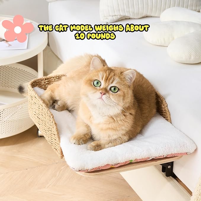 SHENGOCASE 2-Pack Foldable Bedside Pet Bed with Washable Cushion Pillow, Handwoven Guardrail Cat Small Dog Bed