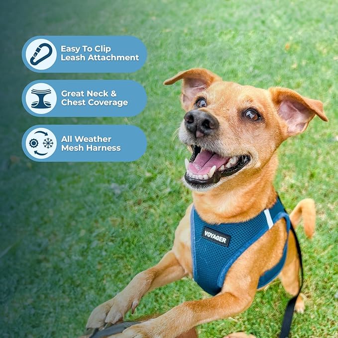 Best Pet Supplies Voyager Step-in Air All Weather Mesh Harness and Reflective Dog 5ft Leash Combo with Neoprene Handle, for Small, Medium and Large Breed Puppies - Set (Turquoise), X-Small