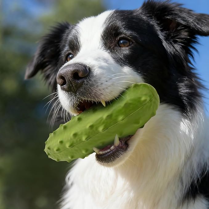 LIFLIX 2PCS Tough Squeaky Dog Toys, Durable Dog Chew Toy with Natural Rubber, Teething Toys for Medium Large Breeds, Cucumber Pickle Shape, Yellow & Green