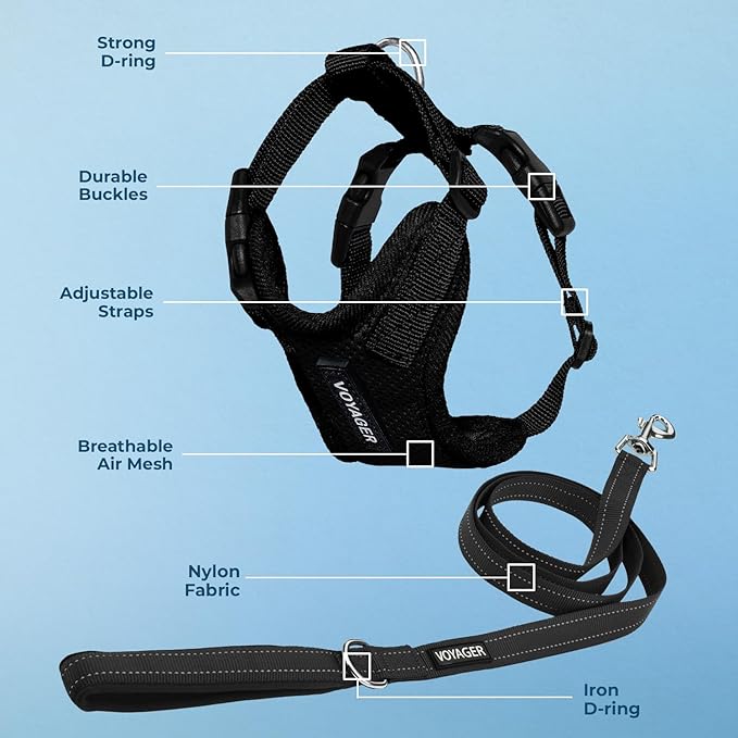 Best Pet Supplies Voyager Step-in Lock Pet Harness w Reflective Pet Leash Combo Set with Neoprene Handle 5ft - Supports Small, Medium and Large Breed Puppies/Cats - Black, S