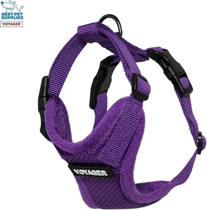 Best Pet Supplies Voyager Step-in Lock Pet Harness w Reflective Pet Leash Combo Set with Neoprene Handle 5ft - Supports Small, Medium and Large Breed Puppies/Cats - Purple Set, XXXS