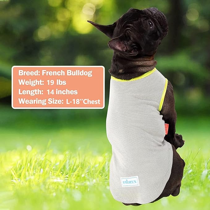 KYEESE 2Pack Dog Cooling Shirt, Breathable Dog Shirt for Small Dogs, Sun Protection Dogs Cooling Vest Tank Top, Lightweight Soft Sleeveless Summer Pet Clothes, Blue+Grey, L