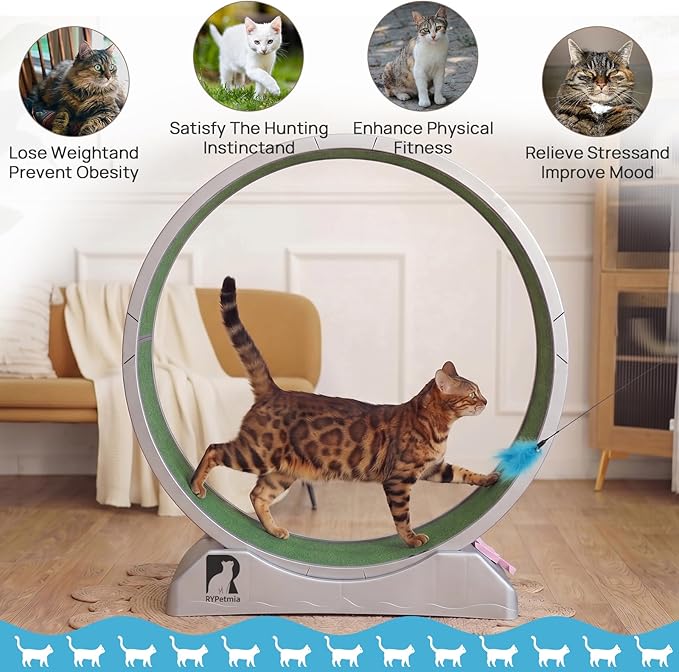 Cat Exercise Wheel, 47.2 Inch Indoor Treadmill for Cats with Carpeted Runway, Screw-Fixed Assembly for Easy Setup, Silent & Safe Fitness Equipment for Most Cats
