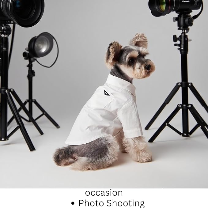 Luxury Pet Dress Shirt – White Designer Button-Up Outfit, Custumes, Formal Dog Shirt for Wedding, Birthday Party, Photoshoot, Puppy & Kitten Fashion Apparel (Medium 5.6–8.8 lbs)
