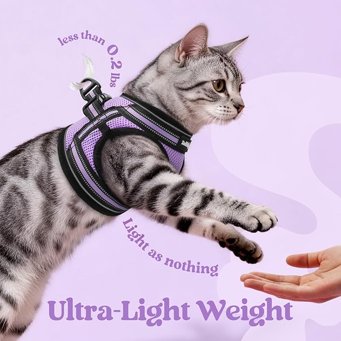 rabbitgoo Cat Harness and Leash Set for Walking Escape Proof, Adjustable Soft Kittens Vest with Reflective Strip for Cats, Comfortable Outdoor Vest, Light Purple, S