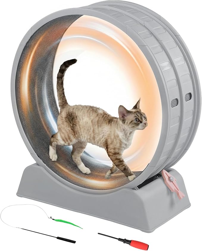 Outvita Cat Exercise Wheel for Indoor Cats, 31.5" Cat Treadmill with Detachable Carpet ＆ Locking Mechanism, Cats Running Wheel Helps Cats to Lose Weight and Keep Health, Easy Assembled (Gray)