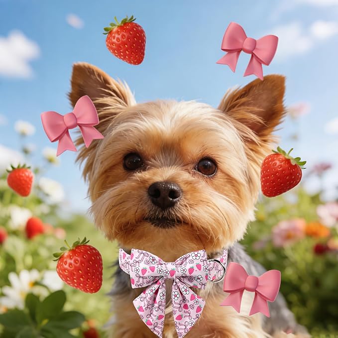 Lionet Paws Strawberry Floral Dog Collar with Sailor Bow, Spring Pink Bow Dog Collars Bow Tie for Dogs, Small, Neck 10-16 inches