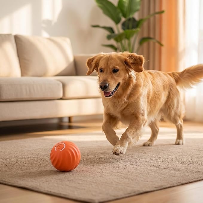 Winb Interactive LED Dog Ball （2 inch）- USB Rechargeable Motion-Activated Rolling Toy for Small Dogs, Dogs Ball Play and Wicked Fun,Orange