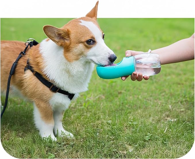 Portable Dog Water Bottle with Bowl – Leak Proof, Lightweight Travel Water Bottle for Dogs. (Black, 350 ml)