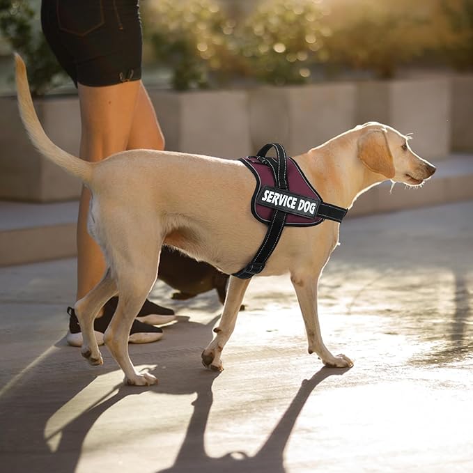 voopet Emotional Support Dog Harness, Professional Service Dog Vest Harness for Small Medium Large Dogs, Reflective Breathable and Adjustable No Pull/Choke ESA Essential Harness